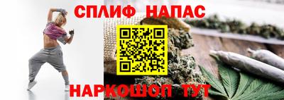 PSILOCYBIN Бугуруслан