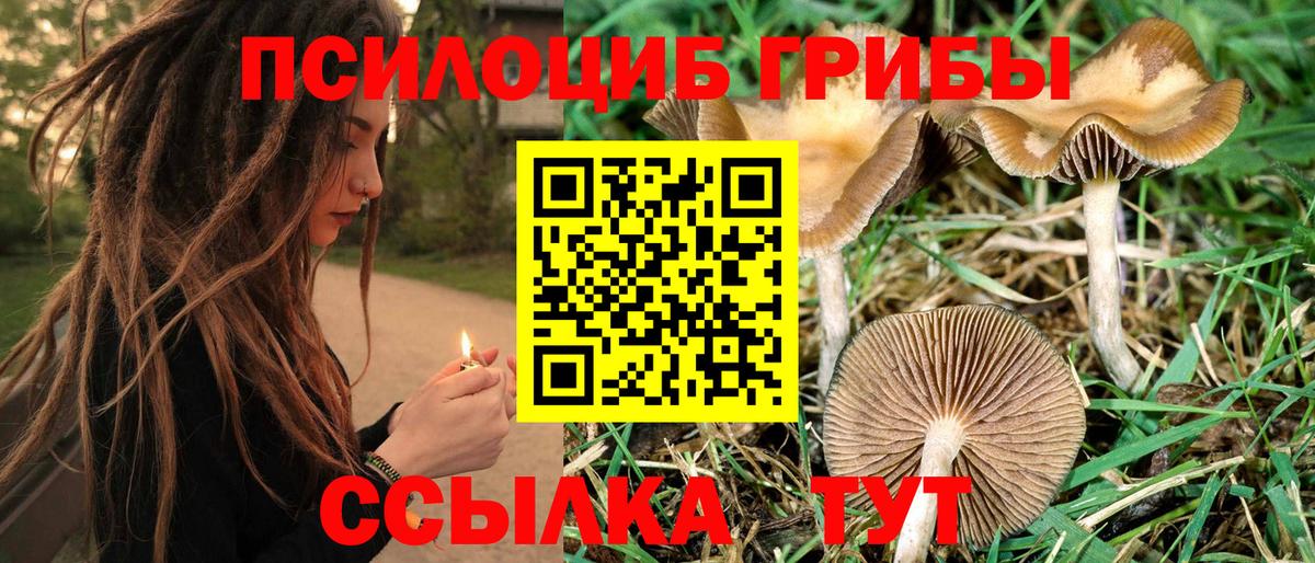 Лениногорск  Конопля  Вход с VPN  Лсд 25  ГАШ  A-PVP СК   МЕФ  