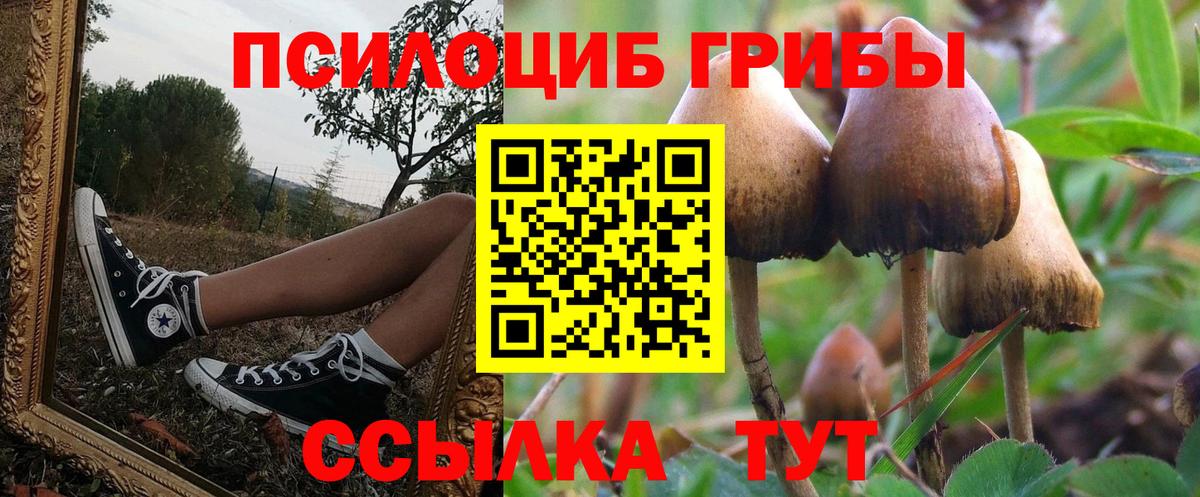 Галлюциногенные грибы ЛСД Лениногорск
